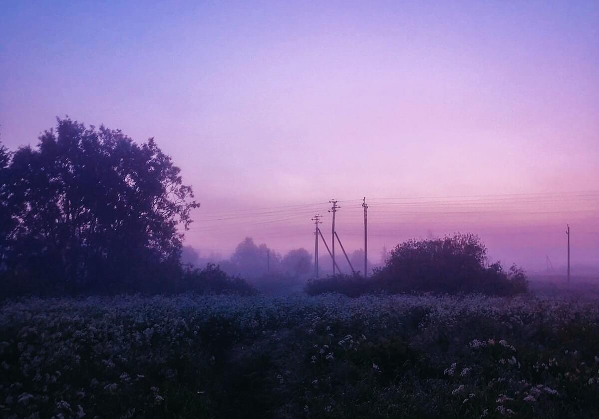 华体会线上入口-CBA常规赛第26轮：辽宁队客场大胜广东队